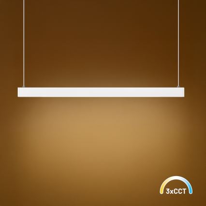 LED lestenec na kablu LINEA LED/36W/230V 3000/4000/5700K CRI 90 bela