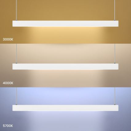 LED lestenec na kablu LINEA LED/36W/230V 3000/4000/5700K CRI 90 bela