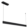 LED lestenec na kablu LINEA LED/36W/230V 3000/4000/5700K CRI 90 črna