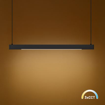 LED lestenec na kablu LINEA LED/36W/230V 3000/4000/5700K CRI 90 črna
