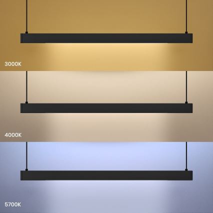 LED lestenec na kablu LINEA LED/36W/230V 3000/4000/5700K CRI 90 črna