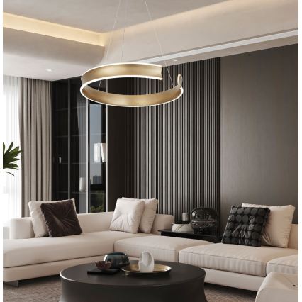 LED lestenec na kablu MARLEN LED/36W/230V v zlati barvi