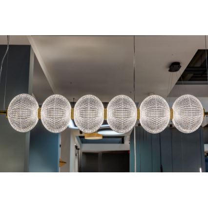 LED lestenec na kablu PELLUCID LED/23W/230V zlata/prozorna