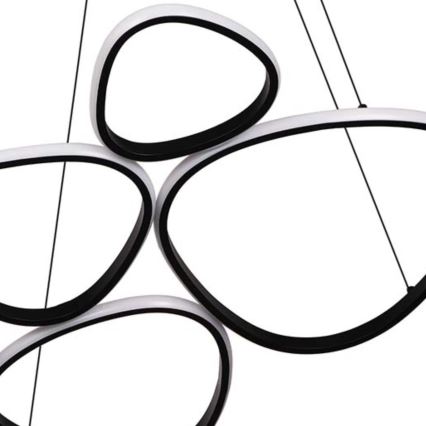 LED lestenec na kablu PETRA LED/58W/230V 4000K črn