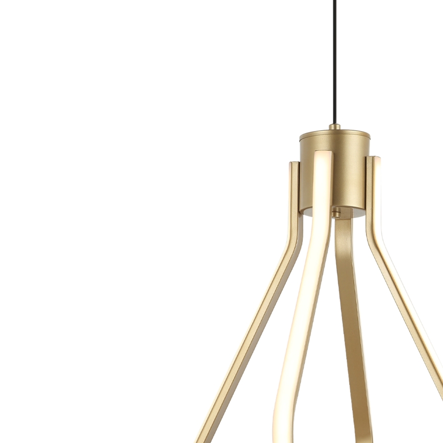 LED lestenec na kablu ZING LED/19W/230V zlate barve
