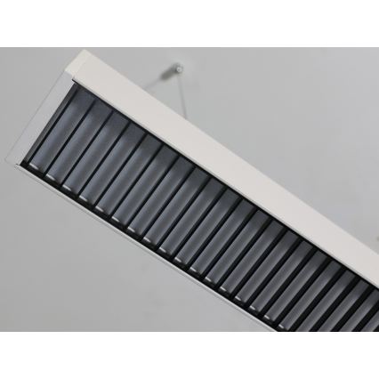 LED lestenec na lanku LED/55W/230V 3000/4000/6500K 120 cm bela