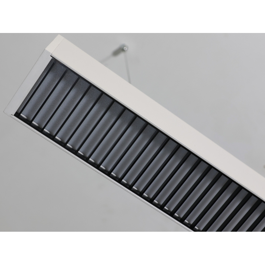 LED lestenec na lanku LED/55W/230V 3000/4000/6500K 120 cm bela