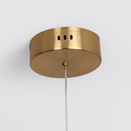 LED lestenec na vrvi MELECA LED/36W/230V 3000/4000/6000K 160 cm zlata