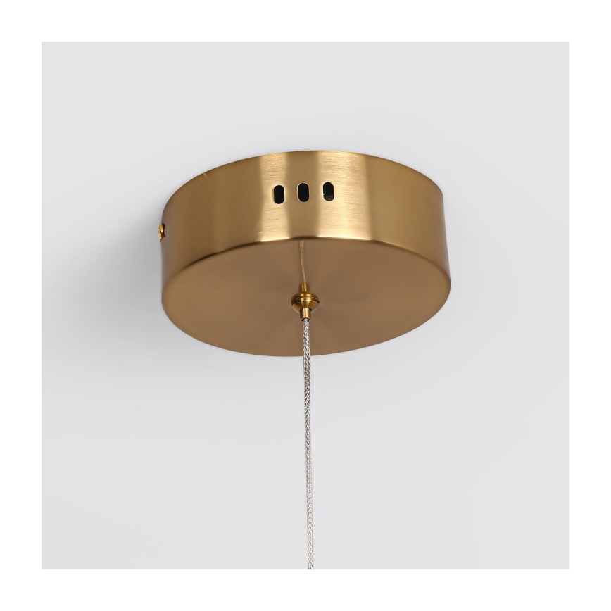 LED lestenec na vrvi MELECA LED/36W/230V 3000/4000/6000K 160 cm zlata