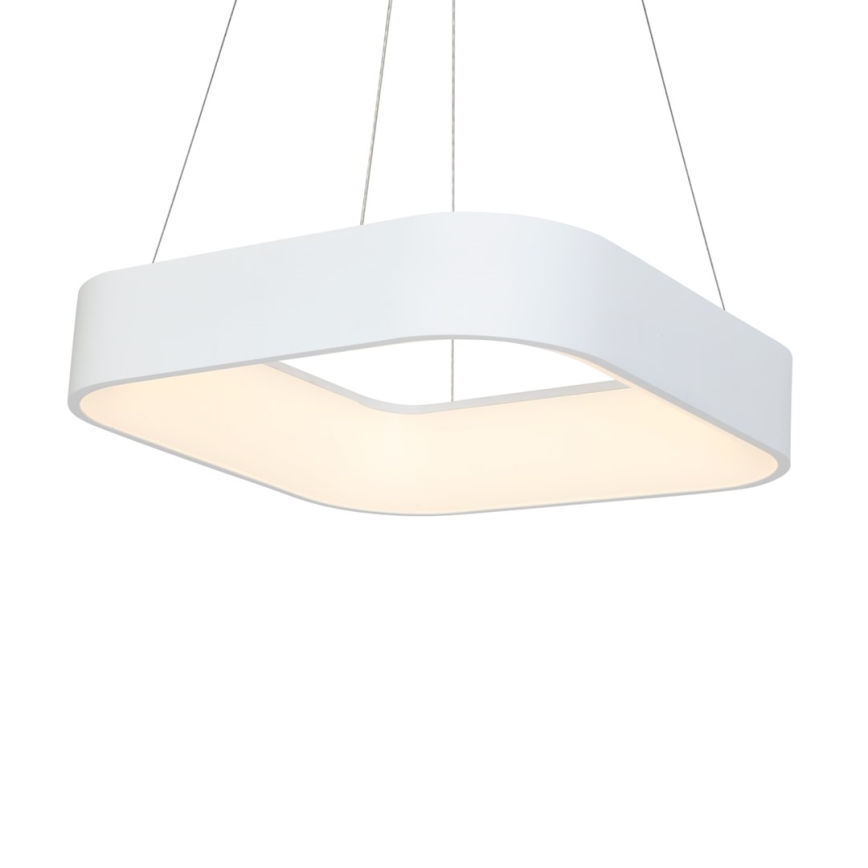 LED Lestenec na vrvici ASTRO 1xLED/24W/230V