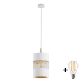 LED lestenec na vrvici BOGART 1xE27/15W/230V bela/zlata