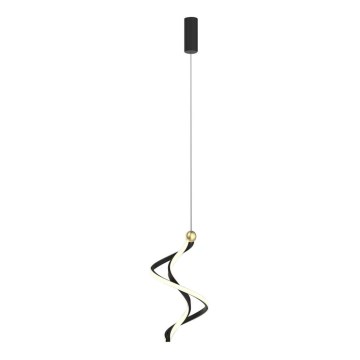 LED Lestenec na vrvici COLIA LED/19W/230V črna/zlata