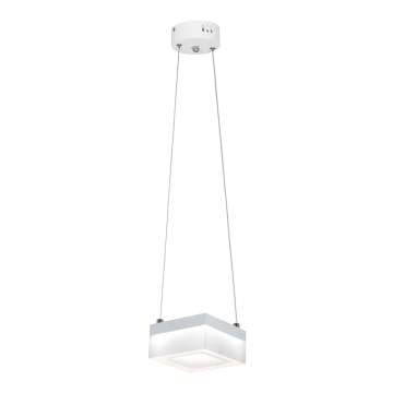 LED Lestenec na vrvici CUBO LED/12W/230V kvadrat