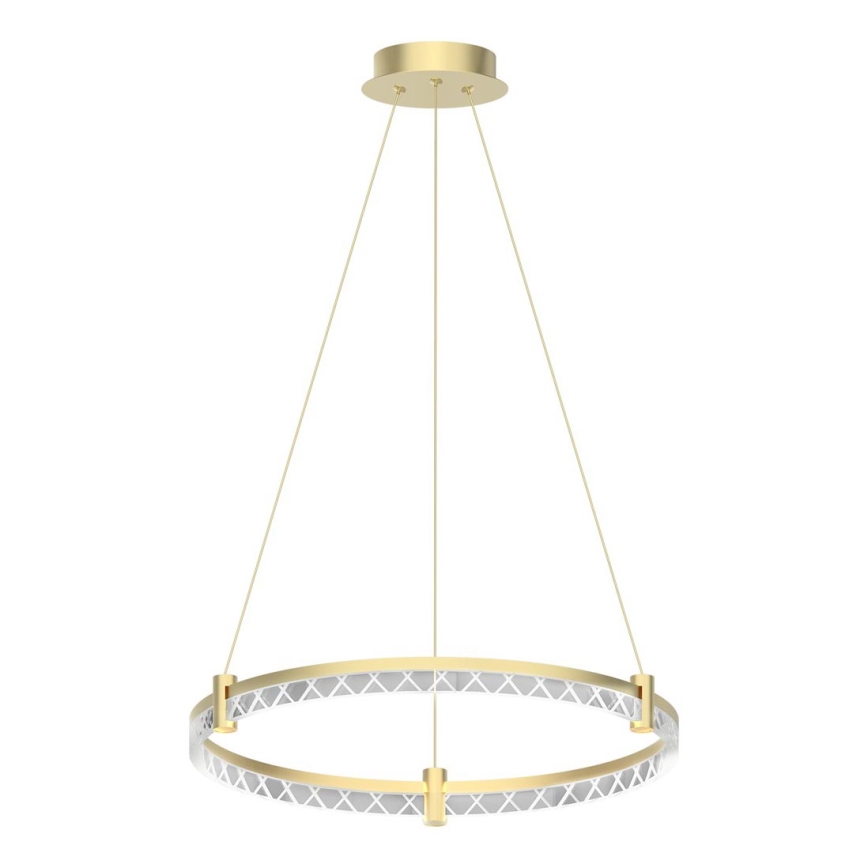 LED Lestenec na vrvici ELEGANCE LED/36W/230V pr. 60 cm zlata