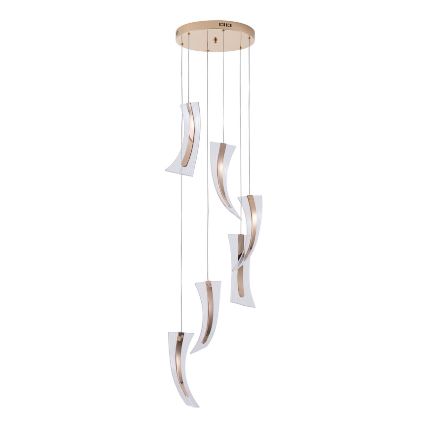 LED Lestenec na vrvici FIRENZE 6xLED/10W/230V 3000K