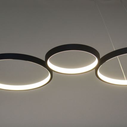 LED Lestenec na vrvici FLAMENCO LED/42W/230V 4000K črna