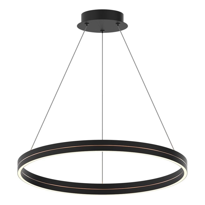 LED Lestenec na vrvici GRAVITY LED/36W/230V črna