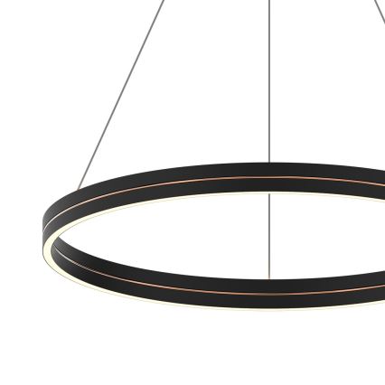 LED Lestenec na vrvici GRAVITY LED/36W/230V črna