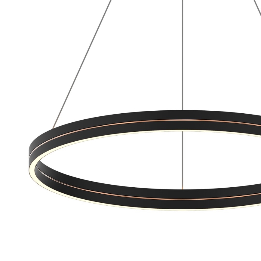 LED Lestenec na vrvici GRAVITY LED/36W/230V črna