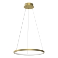 LED Lestenec na vrvici HOOP LED/27W/230V pr. 50 cm 4000K zlata