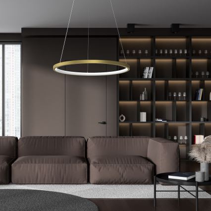 LED Lestenec na vrvici HOOP LED/27W/230V pr. 50 cm 4000K zlata