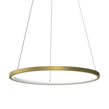 LED Lestenec na vrvici HOOP LED/27W/230V pr. 50 cm 4000K zlata