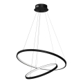 LED Lestenec na vrvici HOOP LED/51W/230V pr. 60 cm 4000K črna