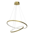 LED Lestenec na vrvici HOOP LED/51W/230V pr. 60 cm 4000K zlata