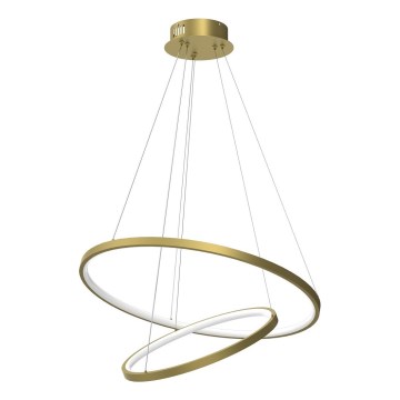 LED Lestenec na vrvici HOOP LED/51W/230V pr. 60 cm 4000K zlata
