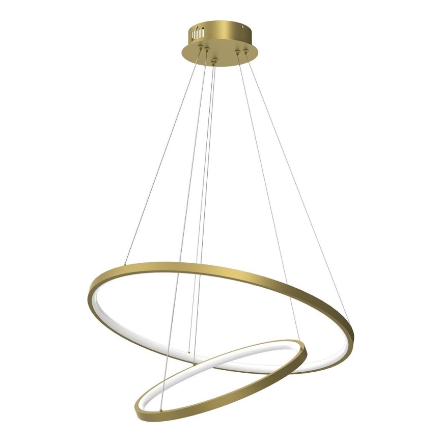 LED Lestenec na vrvici HOOP LED/51W/230V pr. 60 cm 4000K zlata