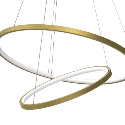 LED Lestenec na vrvici HOOP LED/51W/230V pr. 60 cm 4000K zlata