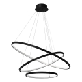 LED Lestenec na vrvici HOOP LED/93W/230V pr. 60 cm 4000K črna