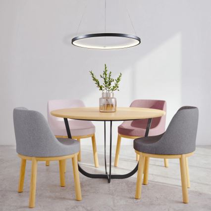 LED Lestenec na vrvici LEA LED/20W/230V 4000K pr. 50 cm črna