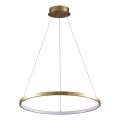 LED Lestenec na vrvici LEA LED/20W/230V 4000K pr. 50 cm zlata