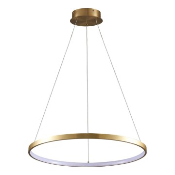 LED Lestenec na vrvici LEA LED/20W/230V 4000K pr. 50 cm zlata