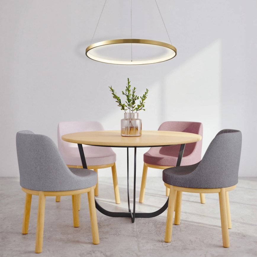LED Lestenec na vrvici LEA LED/20W/230V 4000K pr. 50 cm zlata