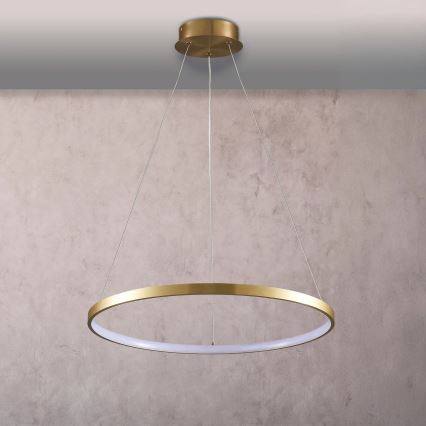 LED Lestenec na vrvici LEA LED/20W/230V 4000K pr. 50 cm zlata