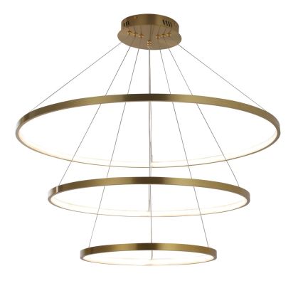 LED Lestenec na vrvici LEA LED/60W/230V 4000K pr. 80 cm zlata