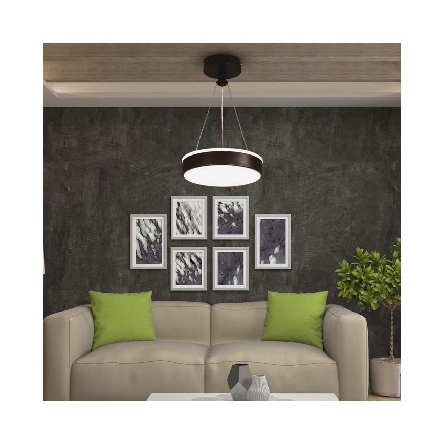 LED Lestenec na vrvici LED/12W/230V 4000K črna