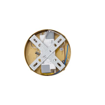 LED Lestenec na vrvici LED/19W/230V 3000K