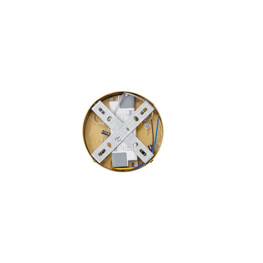 LED Lestenec na vrvici LED/19W/230V 3000K