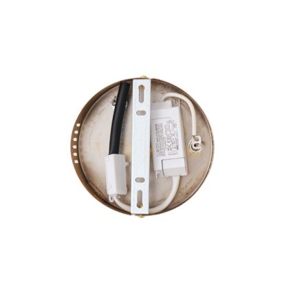 LED Lestenec na vrvici LED/24W/230V 3000K 50x120 cm