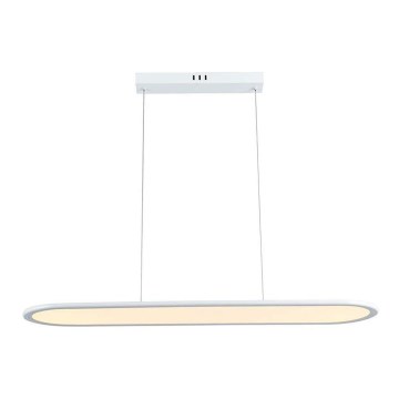 LED Lestenec na vrvici LED/24W/230V 3000K bela