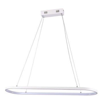 LED Lestenec na vrvici LED/24W/230V 4000K bela