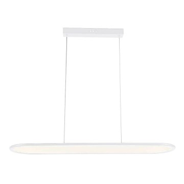 LED Lestenec na vrvici LED/24W/230V 4000K bela