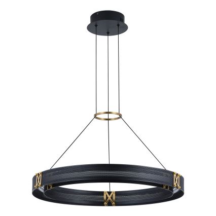 LED Lestenec na vrvici LED/33W/230V 3000K 62x120 cm