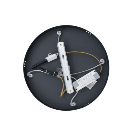 LED Lestenec na vrvici LED/38W/230V 3000K
