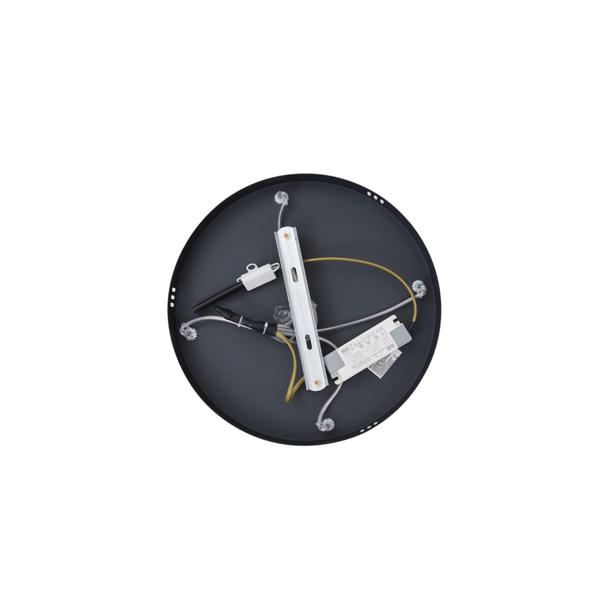 LED Lestenec na vrvici LED/38W/230V 3000K