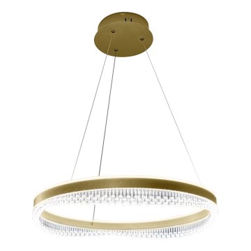 LED Lestenec na vrvici LED/52W/230V pr. 60 cm zlata