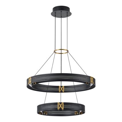 LED Lestenec na vrvici LED/62W/230V 3000K 62x120 cm